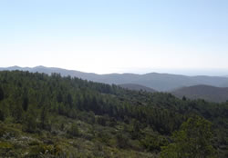 Parc Natural del Garraf