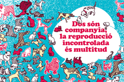 Campanya d'esterilització