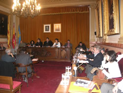 Ple Municipal VNG