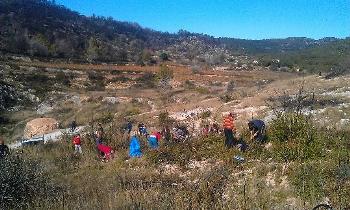 reforestacio