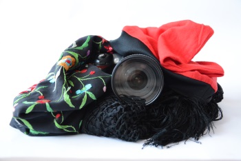 Carnaval a les biblioteques 2