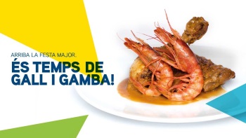 gall gamba