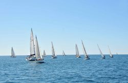columbretes velers