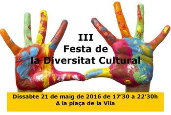 Festa de la diversitat