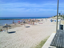 Neteja a les platges3