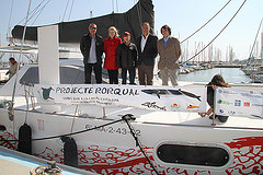 rorqual