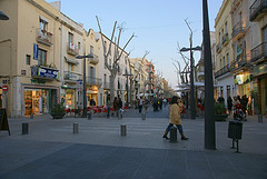 flickr 1