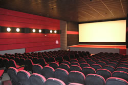 Bosc Cinema
