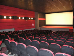 Cinema Bosc