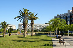 jardineria