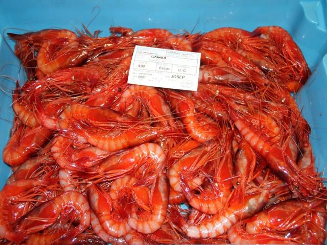 Vilanova i la Geltrú és EXPERIÈNCIA GASTRONÒMICA