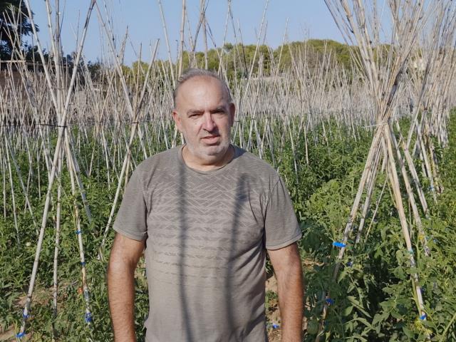 Antoni Ferrer