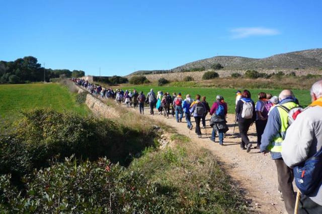 Cicle de passejades de marxa nòrdica