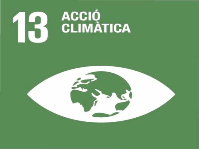 Adoptar mesures urgents per a combatre el canvi climàtic i els efectes d'aquest 