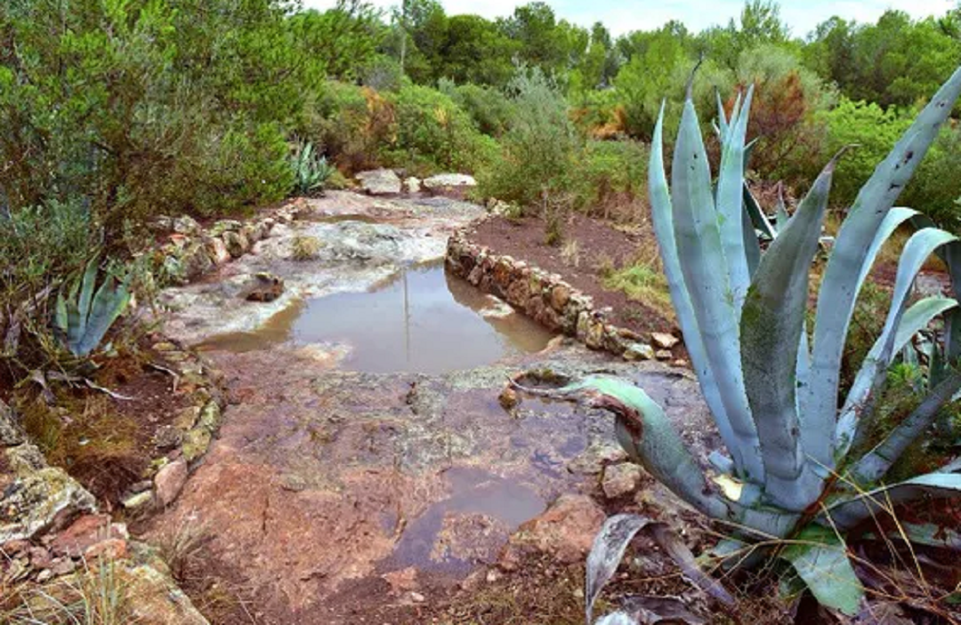 Turó del Sèu