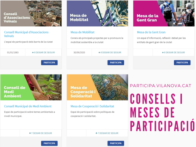 Consells i meses 