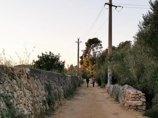 Millora de camins municipals