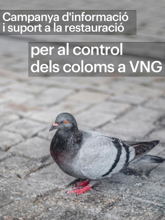 Consells i recomanacions per als clients i els restauradors