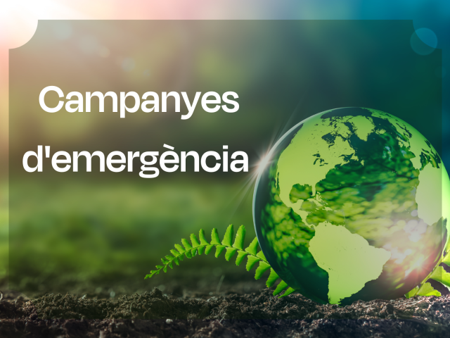 Ajuts a projectes d'emergència internacionals