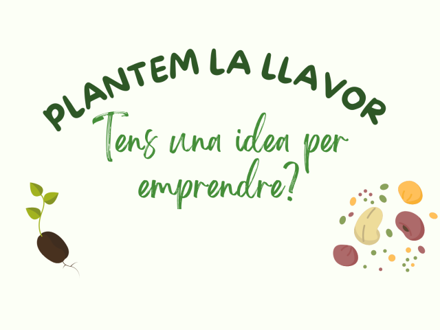 Tens uns idea per emprendre? Plantem la llavor del teu projecte