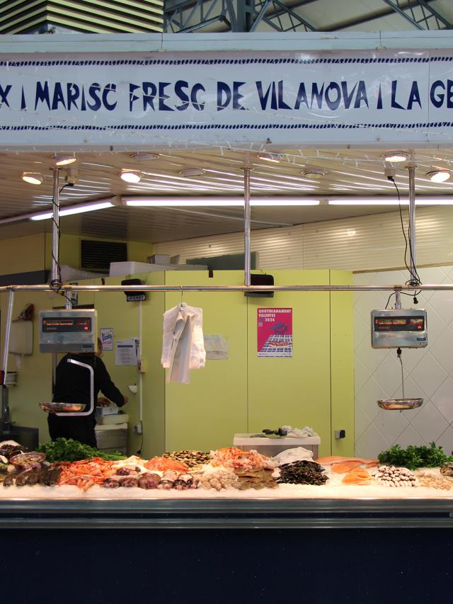 Peixos Victoria - Parada 44