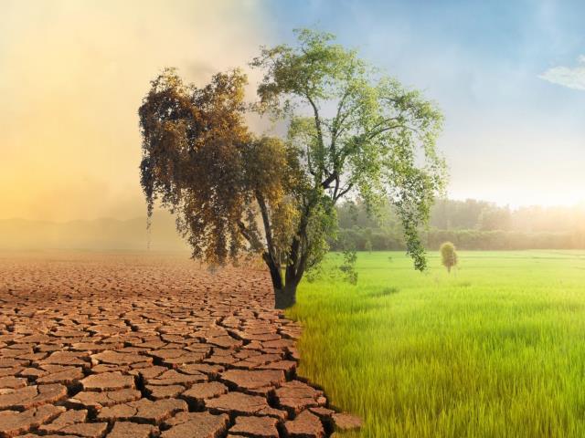 ÀMBIT AMBIENTAL