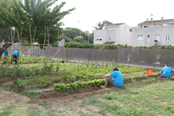 Hort de la Masia Nova