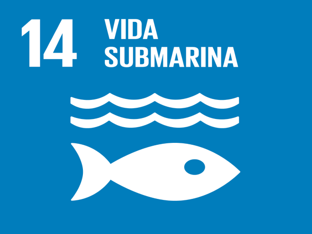 Conservar i utilitzar de forma sostenible els oceans, els mars i els recursos marins per al desenvolupament sostenible