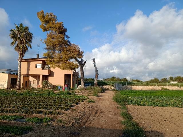 Sínia Sant Gervasi