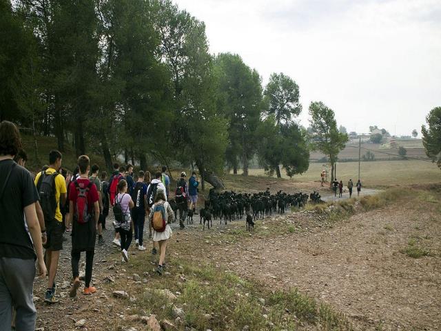 ARRIBADA RAMAT DE CABRES - 