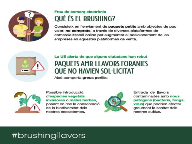 Brushing