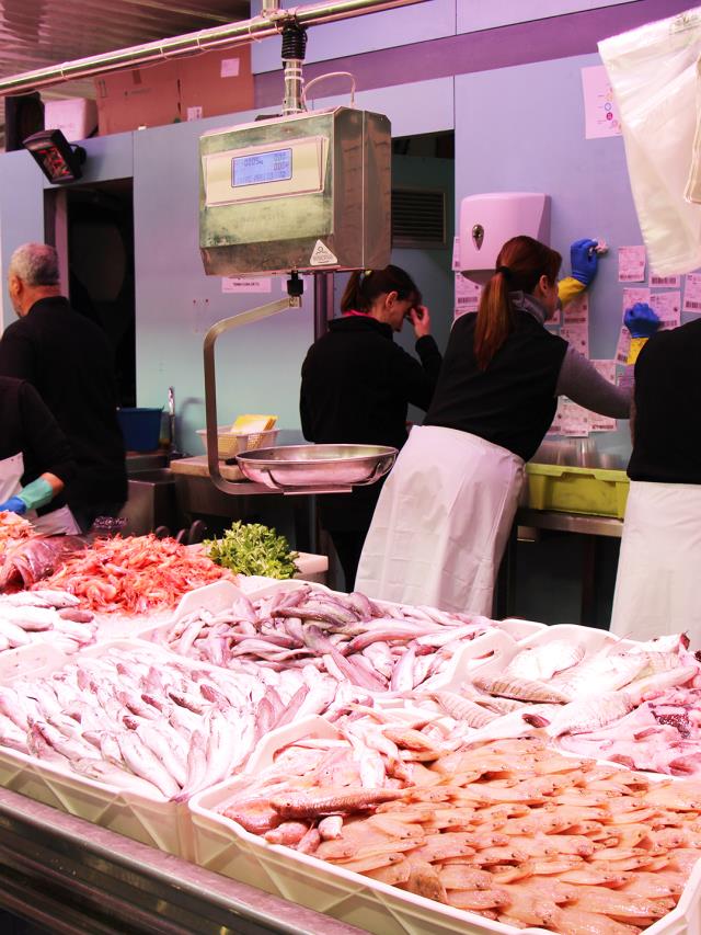Peixos Dolors - Parada 36 i 37