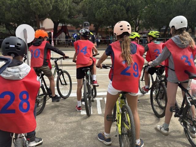Educació viària