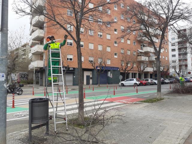 Repàs de jardineria
