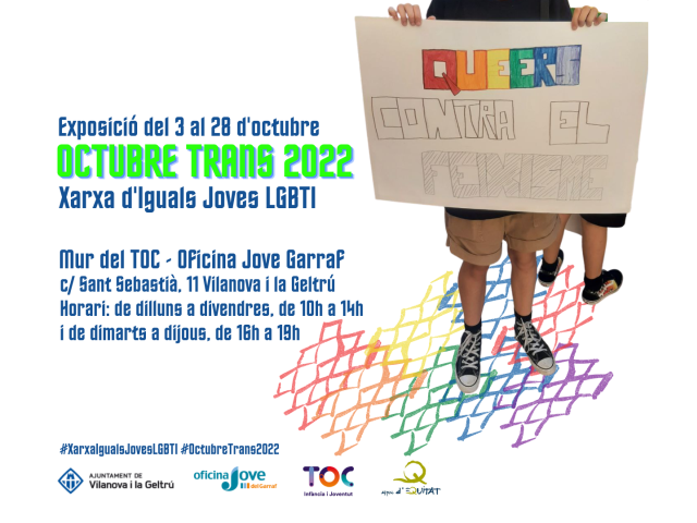 Dia Internacional per a la Despatologització Trans