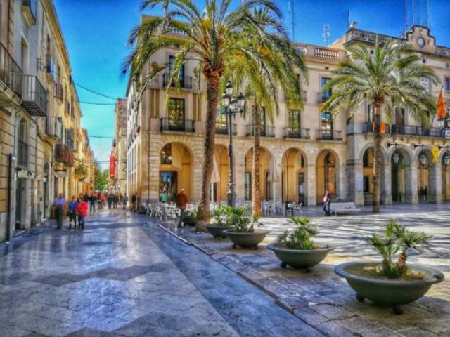 Consell Municipal de Medi Ambient i Sostenibilitat