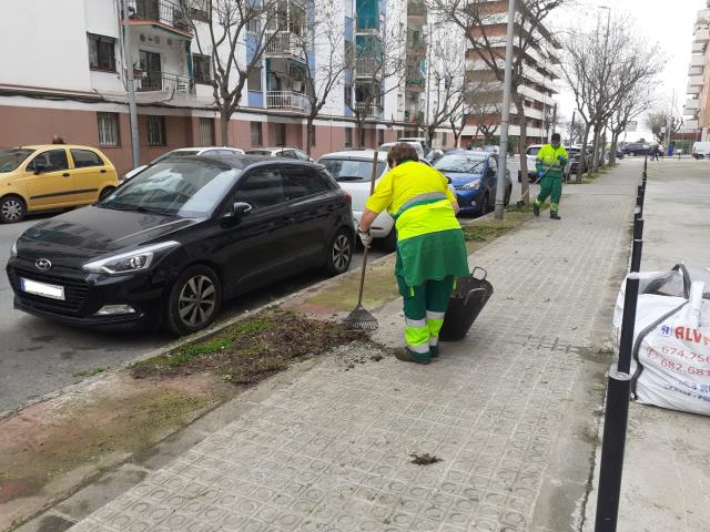 Repàs de jardineria