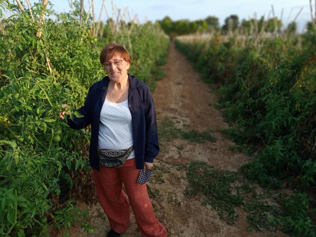 Montse Marcé