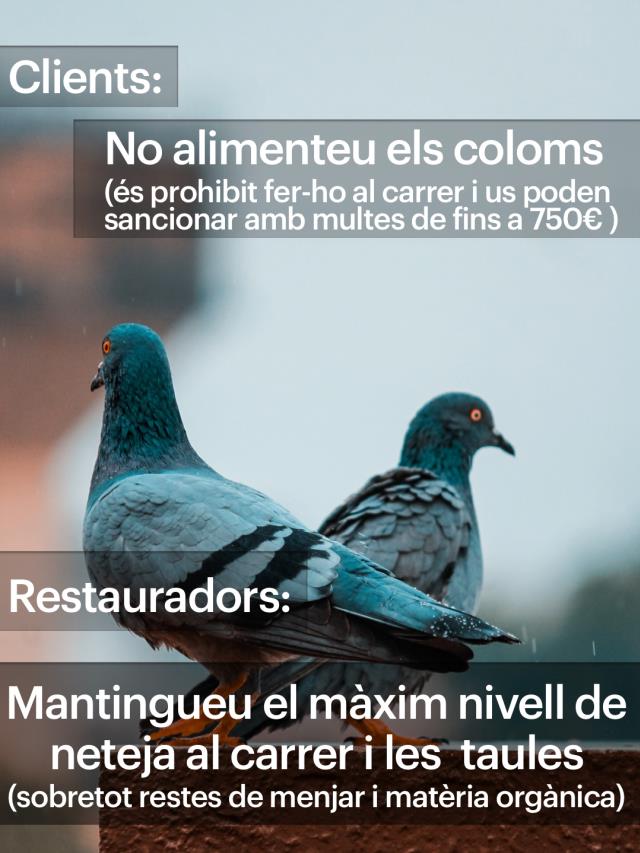 L'ordenança prohibeix alimentar-los a la via pública