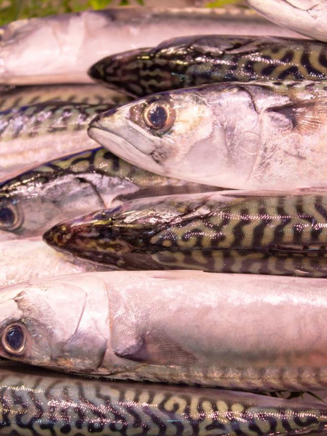 Peixos Samà - Parada 42