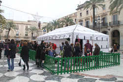 Carpa reial