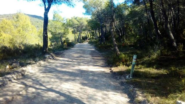 Rutes i itineraris