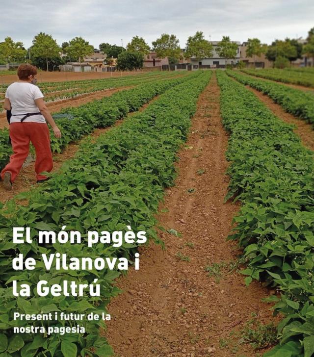 El primer sector a Vilanova i la Geltrú