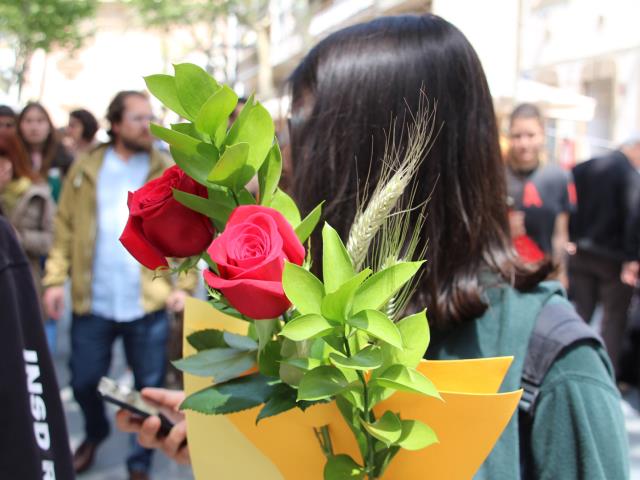 Sant Jordi 