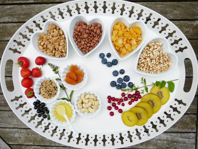 L'ALIMENTACIÓ VEGETARIANA EN LA INFÀNCIA