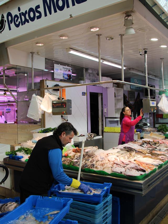 Peixos Montserrat - Parada 40