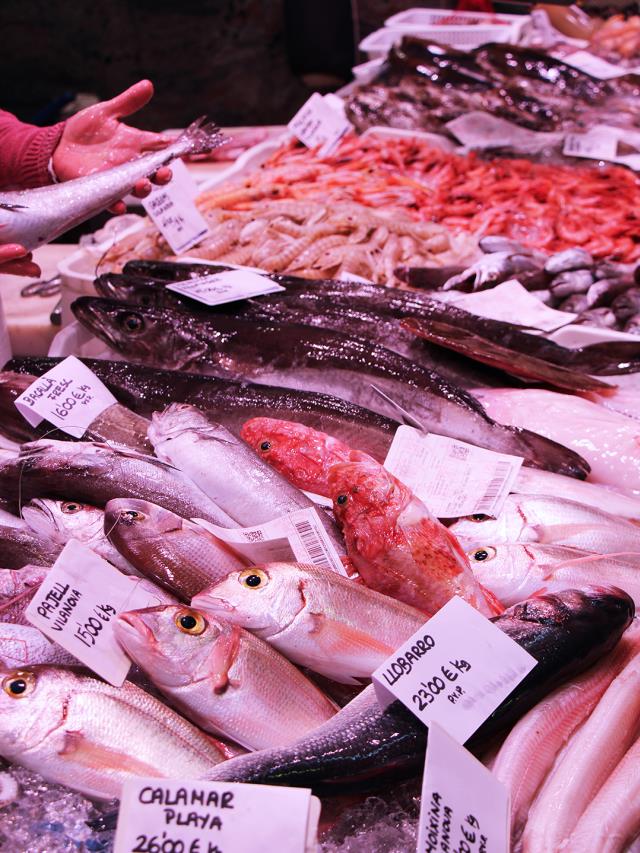 PEIXOS ENCARNA