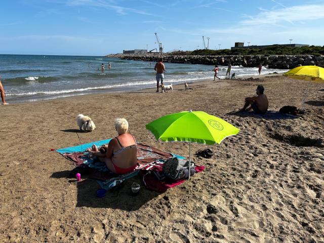 Espai de platja amb gossos al Far de Sant Cristòfol