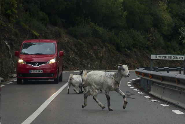 ARA QUE HEU VIST COM ES RECUPERA LA NATURAÉS EL MOMENT DE RESPECTAR-LA