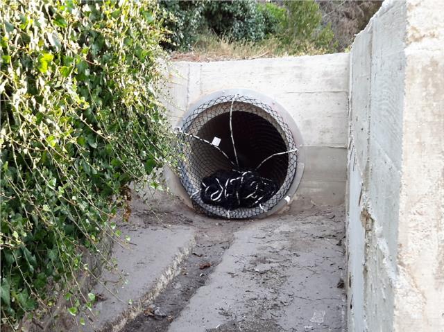 Filtració de residus al torrent de Sant Joan